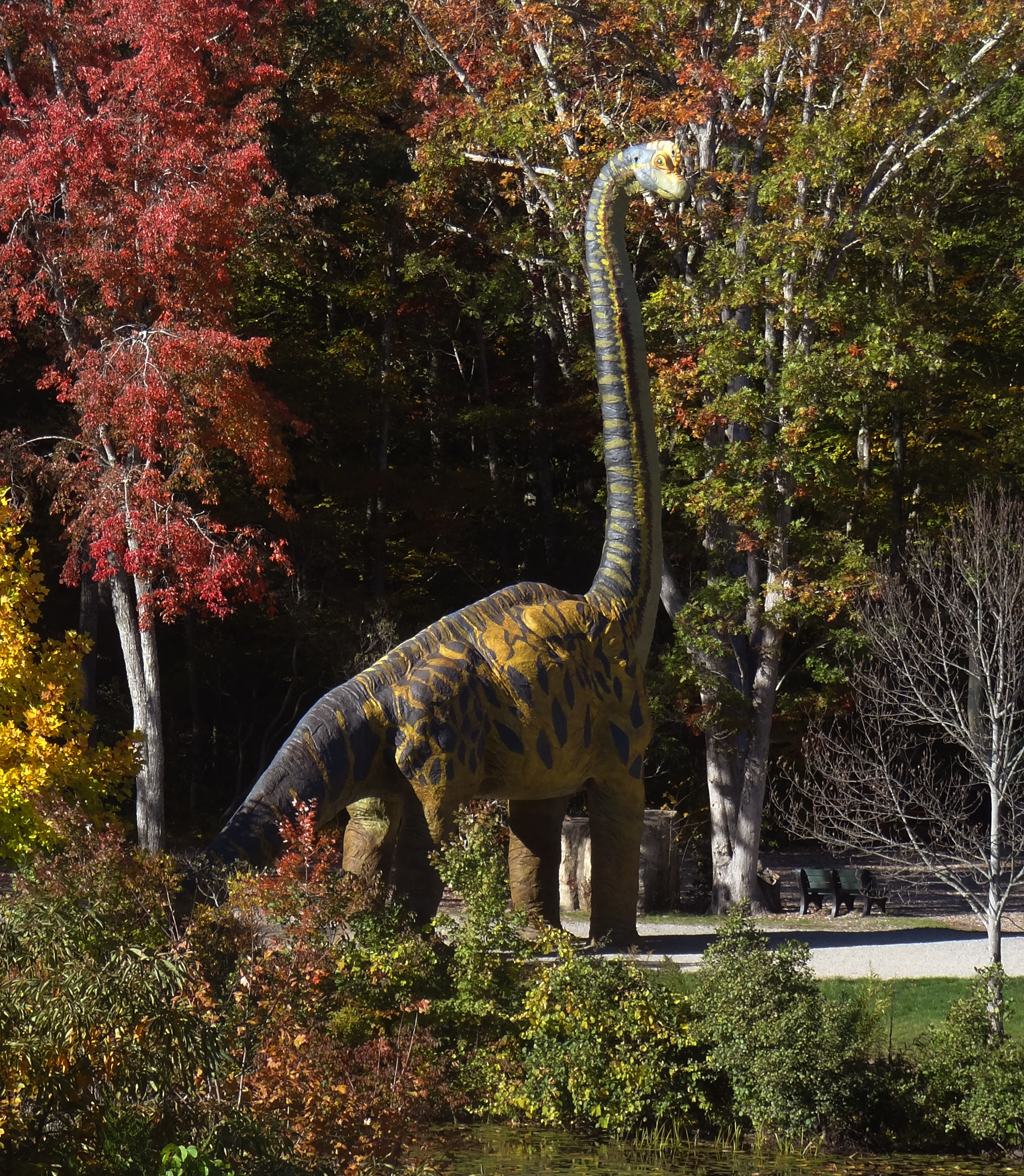 dinosaur place