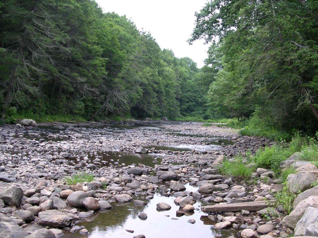 salmon-river-state-forest-visit-ct