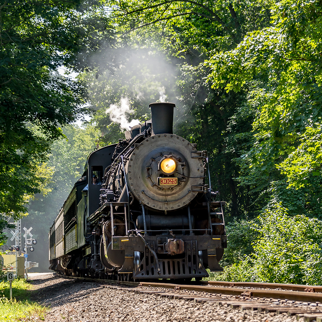 A Blast From The Past: Exploring Connecticut Valley Railroad State Park