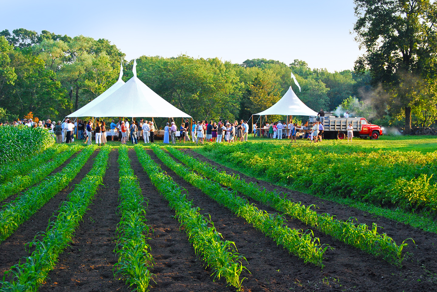 Farm to Table. From Farm to Table — «с фермы на стол». Farm to Table 15 августа. Connecticut food & Farm.