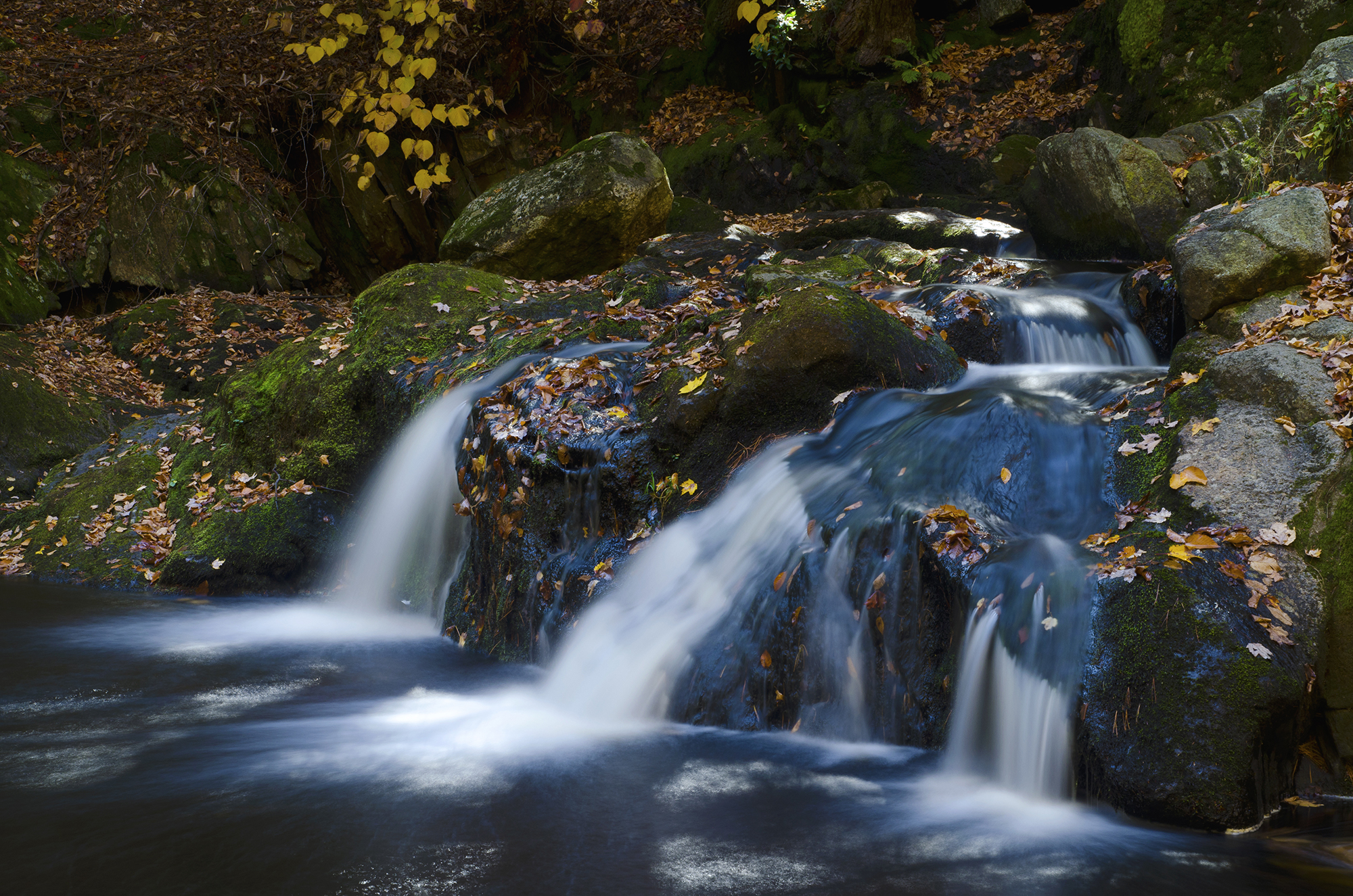 Enders State Forest | Visit CT