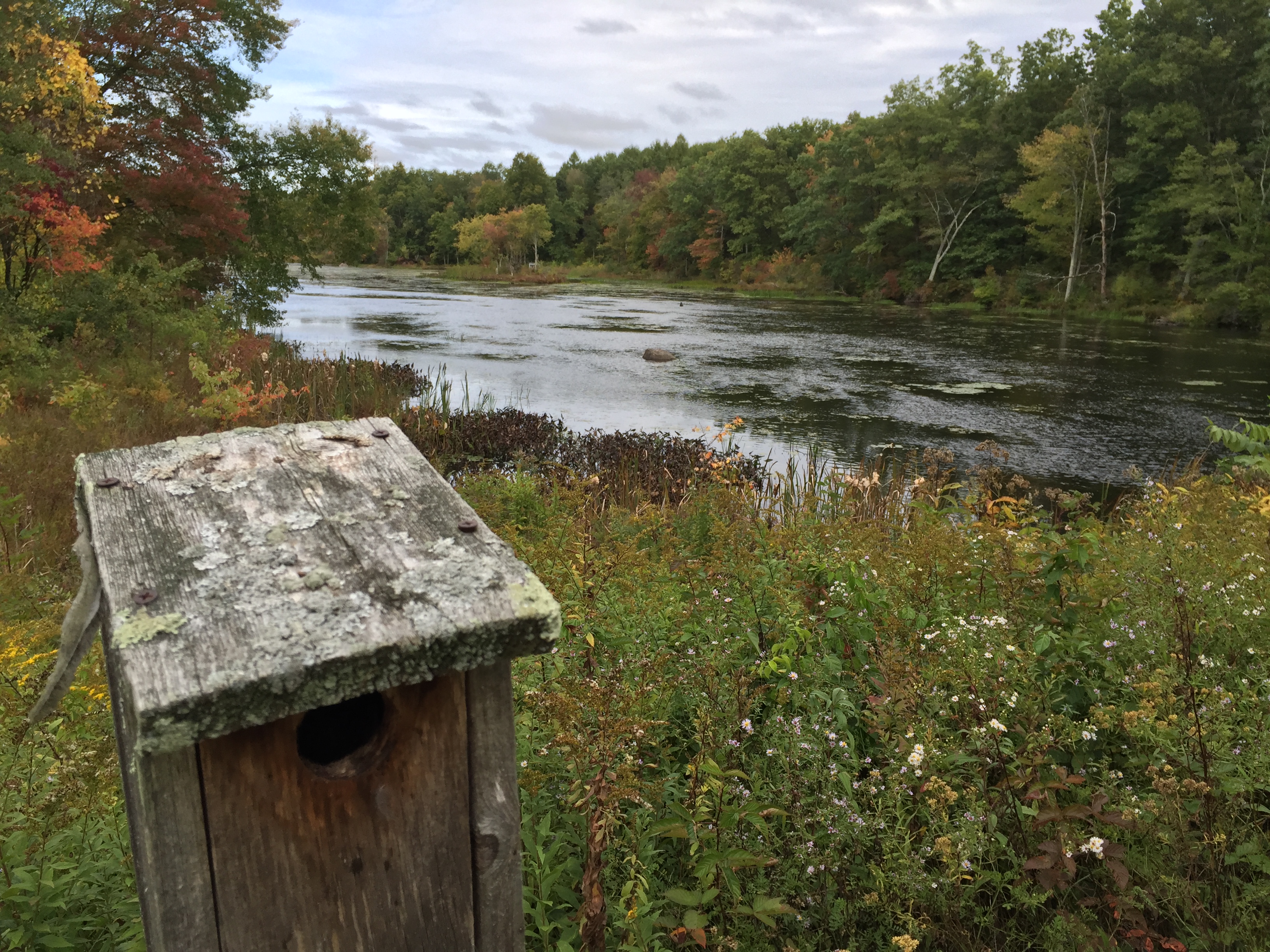 Flanders Nature Center/Land Trust | Visit CT