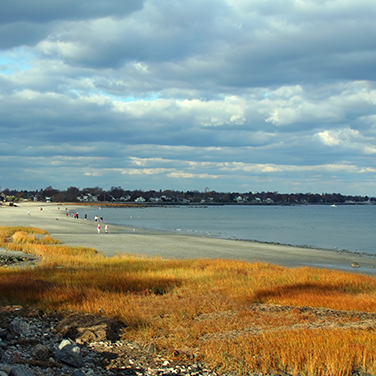 Island Beach | Visit CT