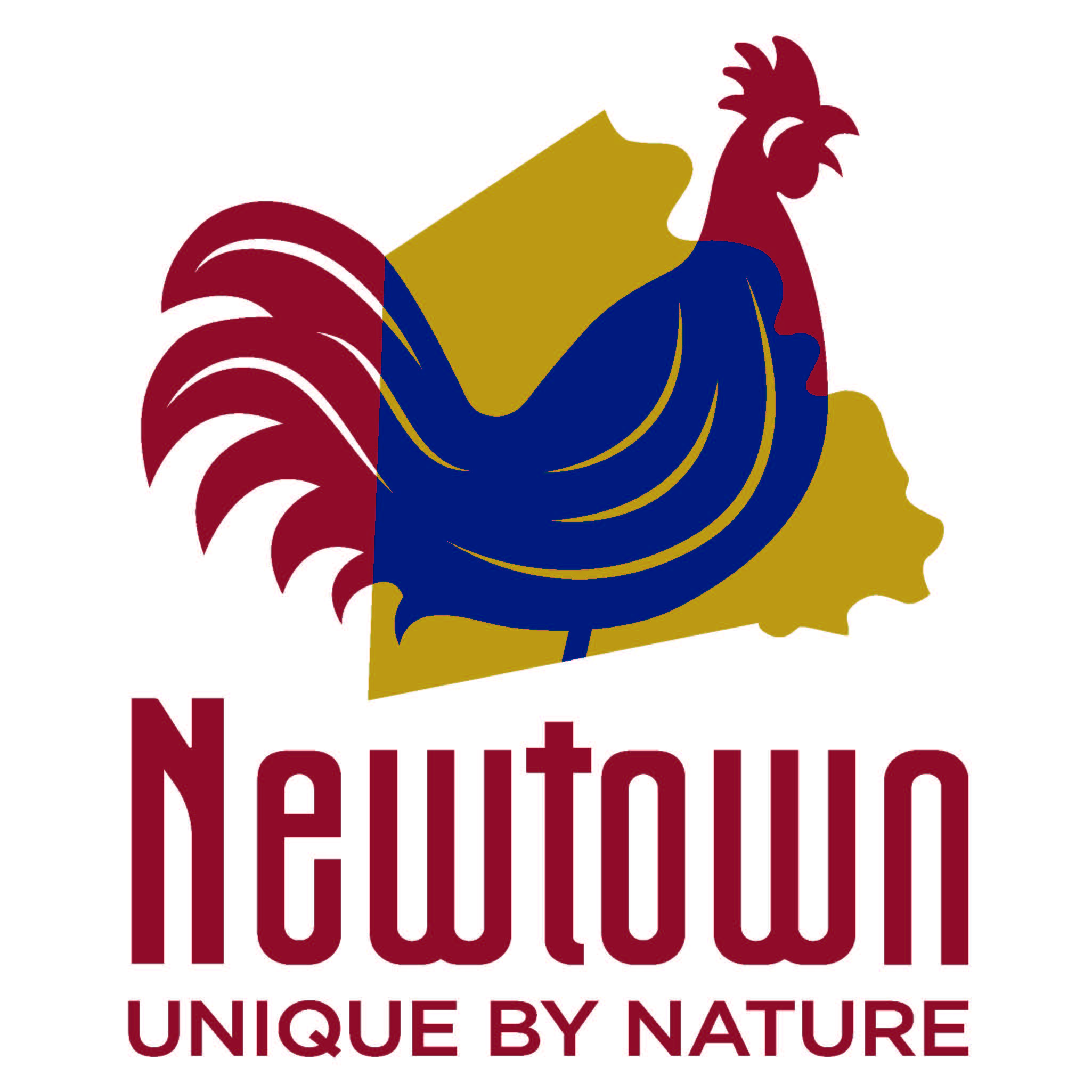 Town Of Newtown 