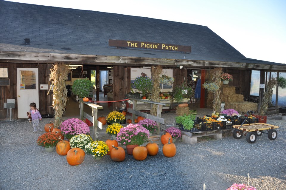 The Pickin Patch at Woodford Farm | Visit CT