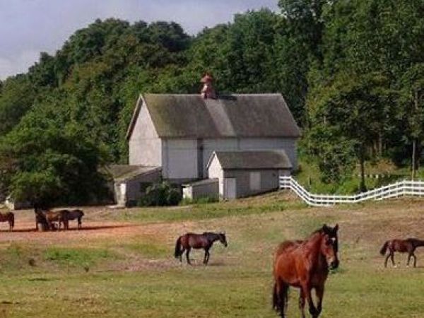 Saddle Up for Adventure: Exploring the Beauty of Horse Guard State Park