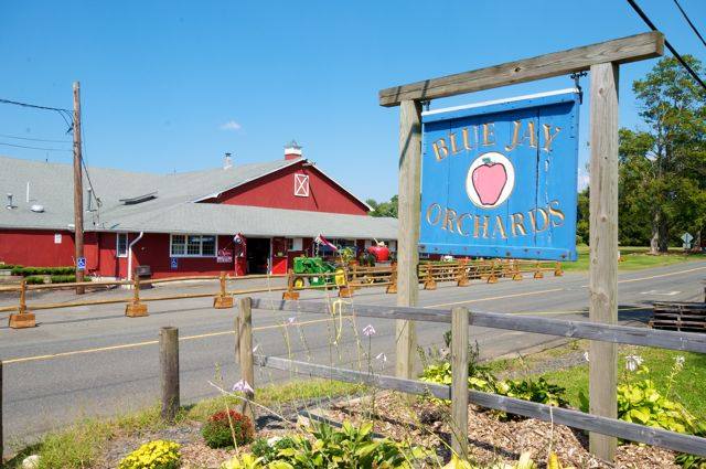 Blue Jay Orchards Visit Ct