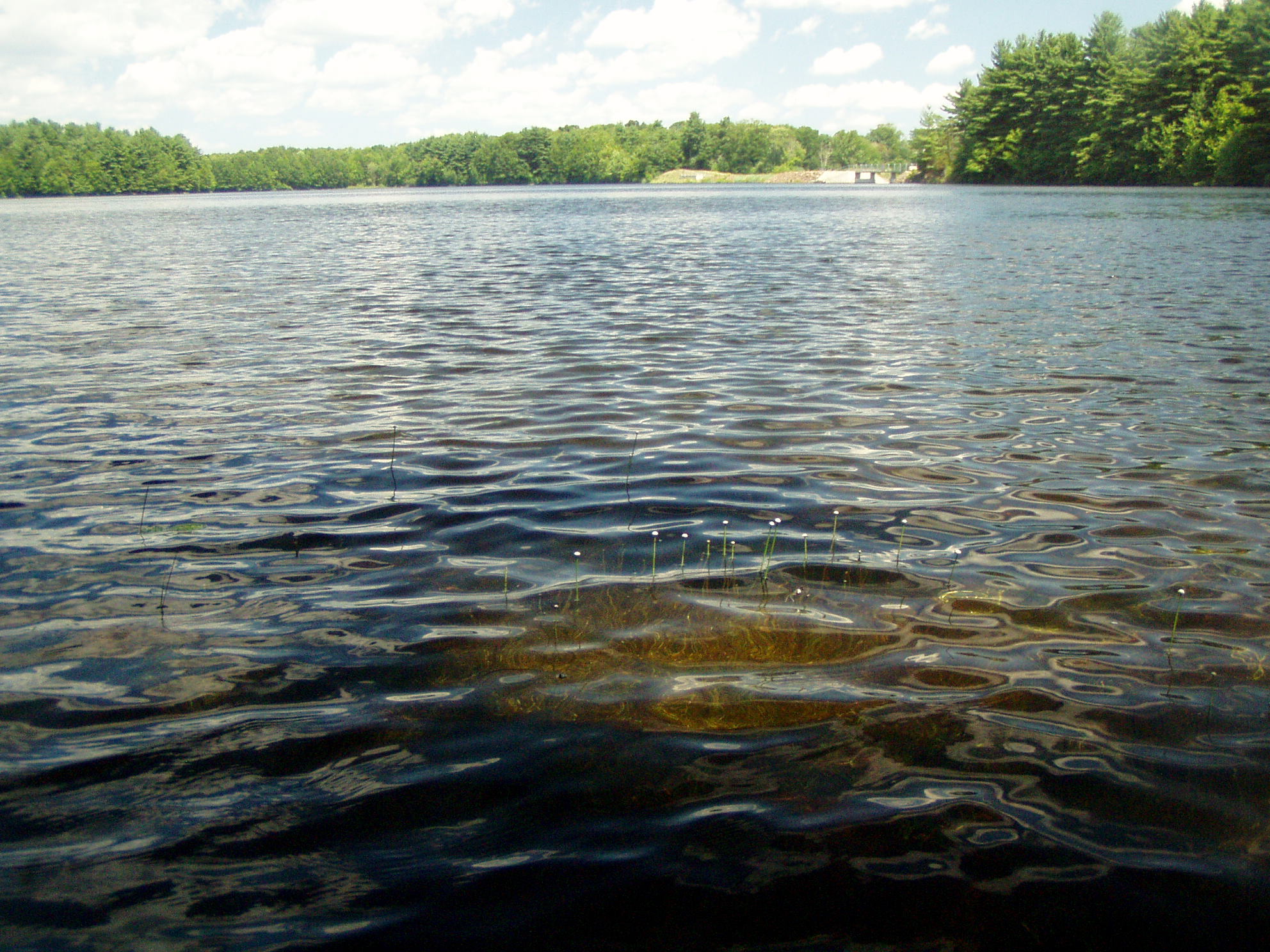 Lake Wintergreen | Visit CT