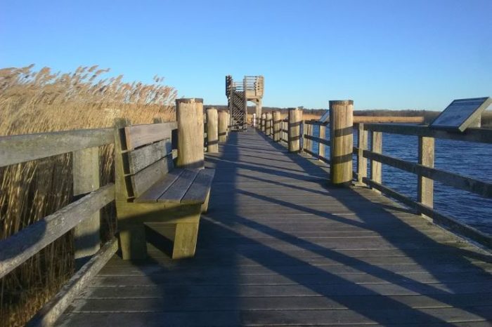 Ferry Landing State Park: Your Gateway to Waterfront Fun and Coastal Charm