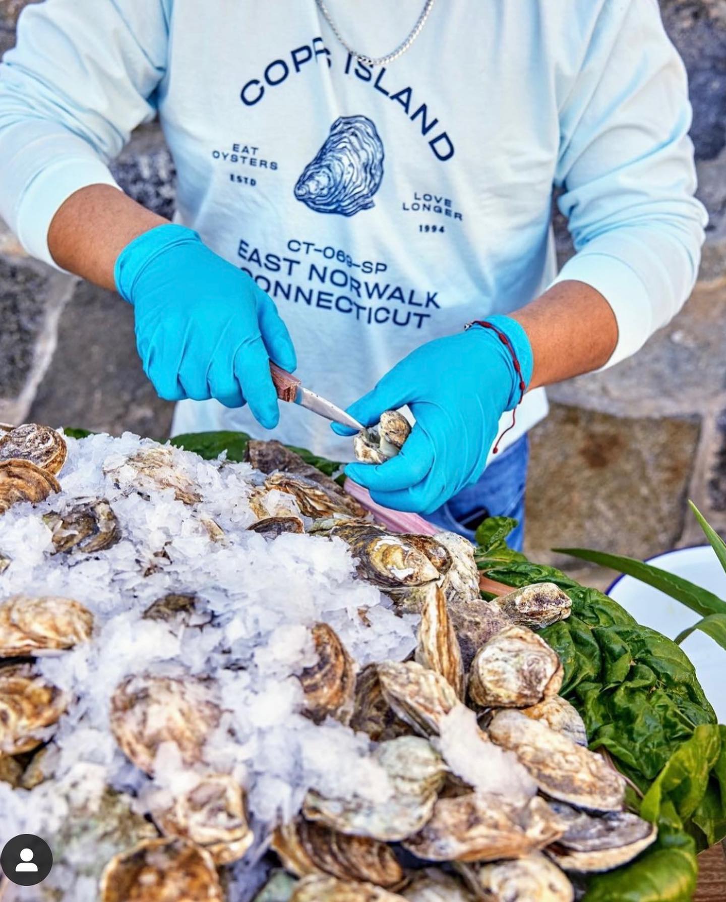 Ostras de la isla Copps en Norwalk 