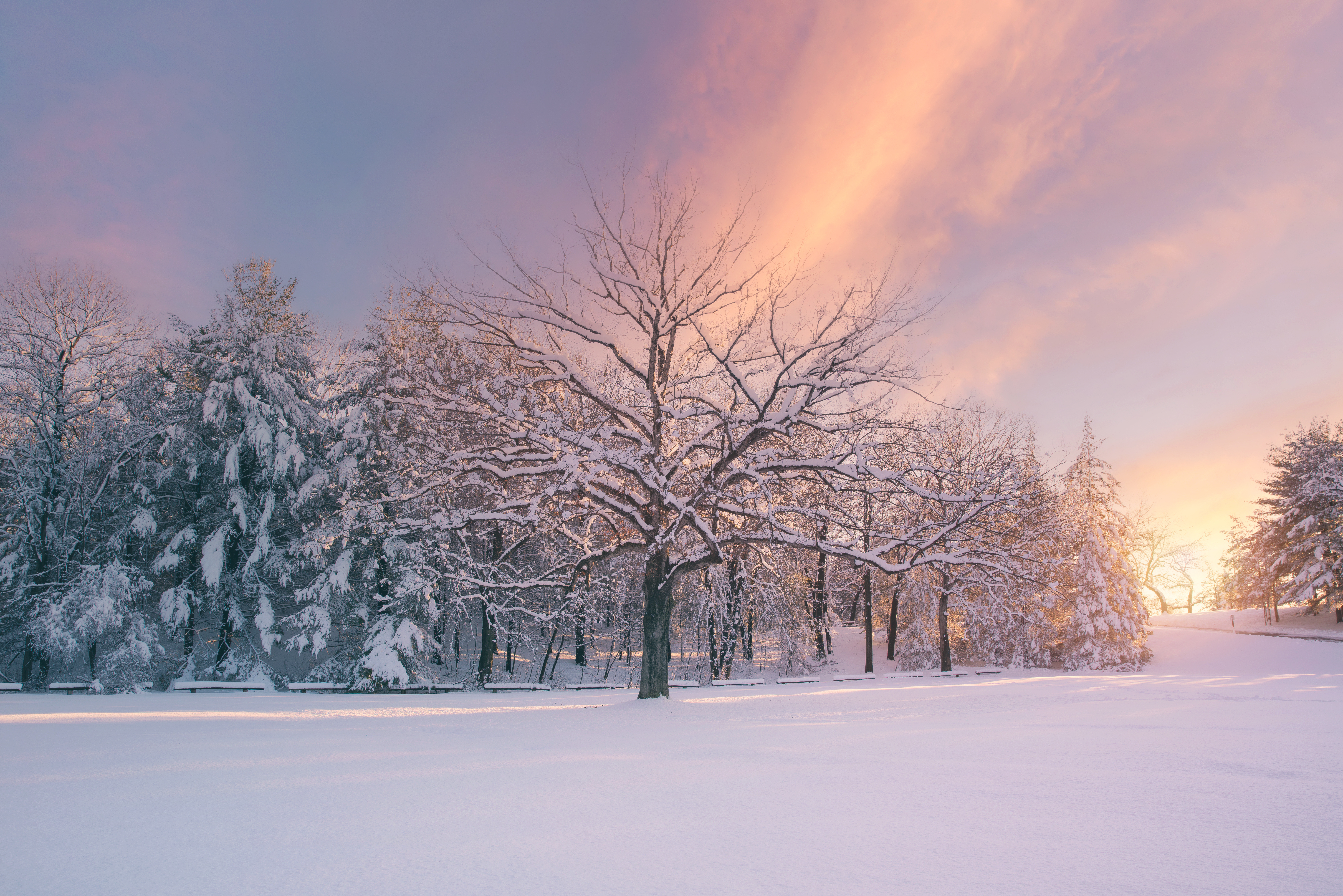 Nieve durante el invierno