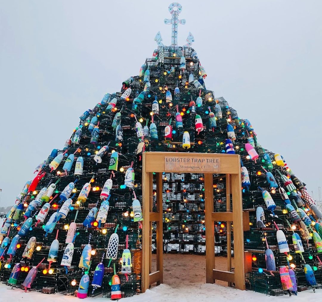 árbol de trampas para langostas