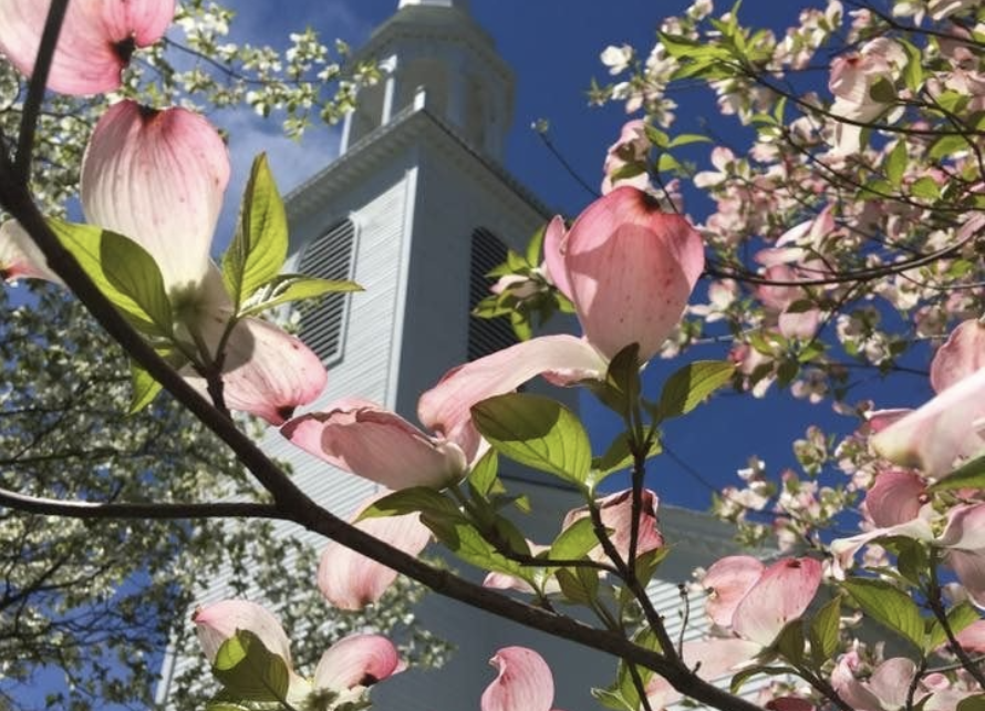 festival del cornejo ffld