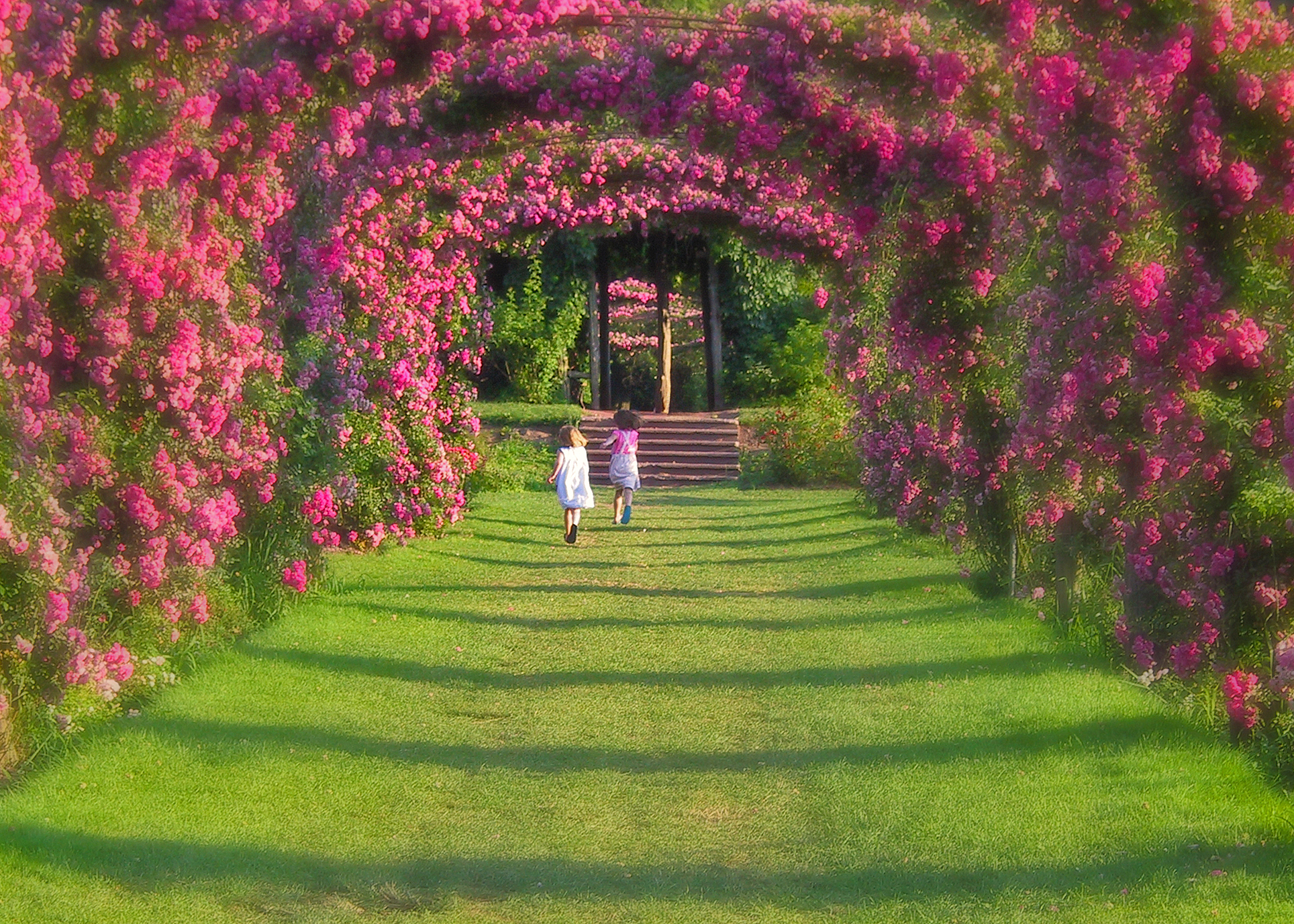 elizabeth park retouched