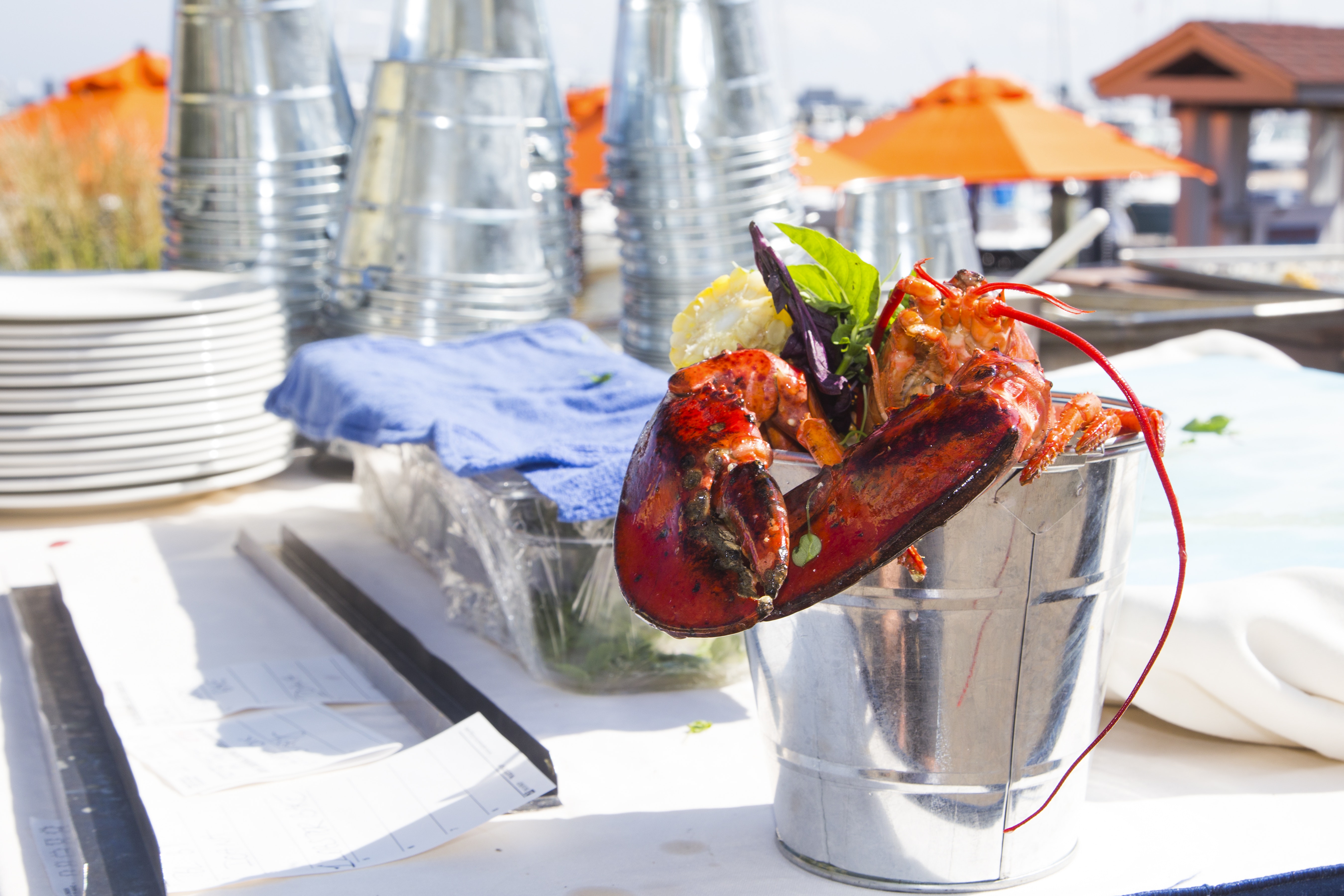 cubo de langosta saybrook