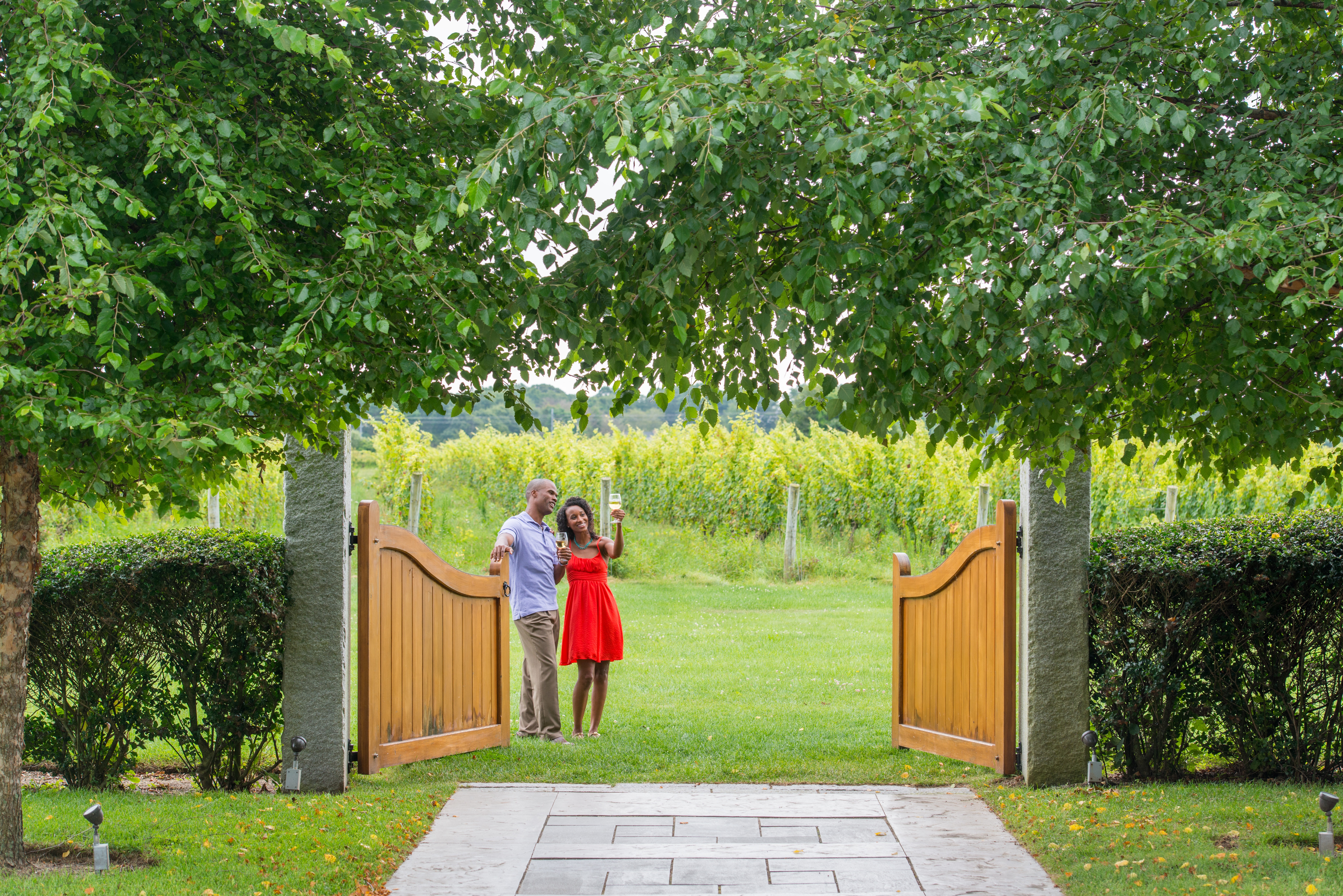 Saltwater Farm Vineyard