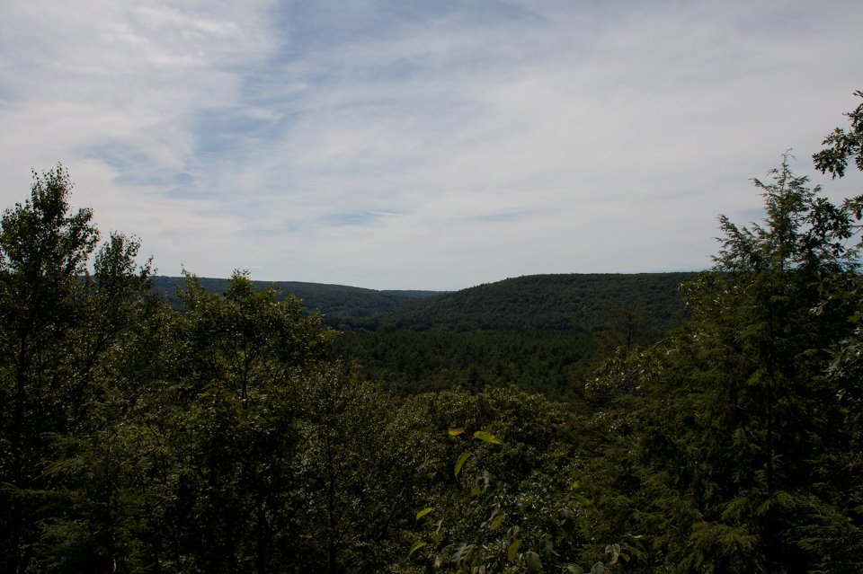 Escape to the Emerald Embrace: Your Guide to Nepaug State Forest