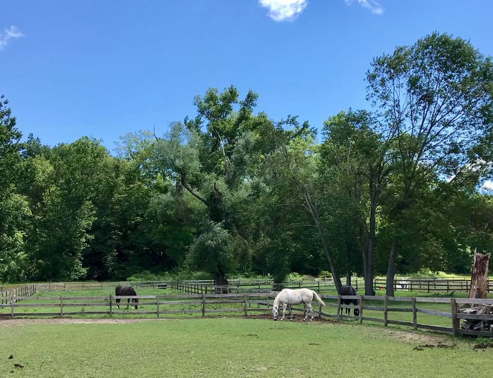 Stonecrest Farm | Visit CT