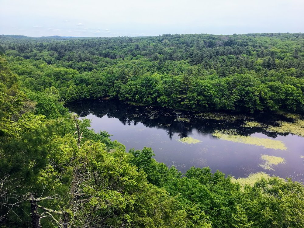 Escape To Tranquility: A Guide To Ross Pond State Park