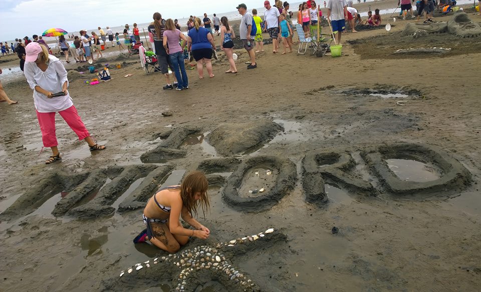 are dogs allowed at walnut beach ct