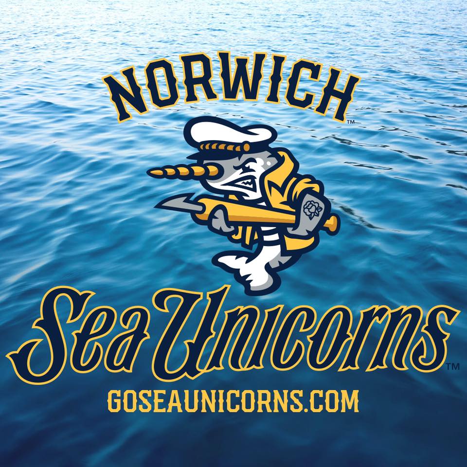 Connecticut Tigers 2013 National League All-Star Jersey – Norwich Sea  Unicorns Official Store