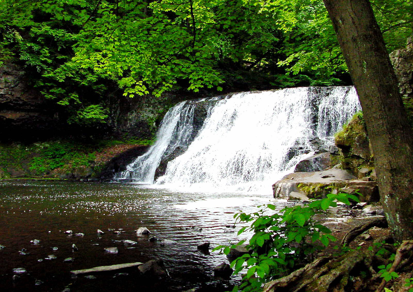 Stonebridge Wild Fowl Sanctuary | Visit CT