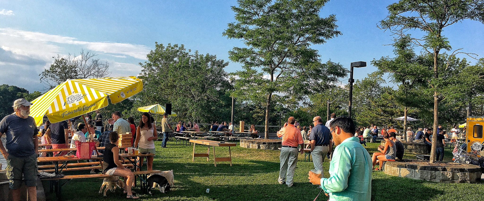 People and dogs enjoying a sunny outdoor park picnic with yellow umbrellas