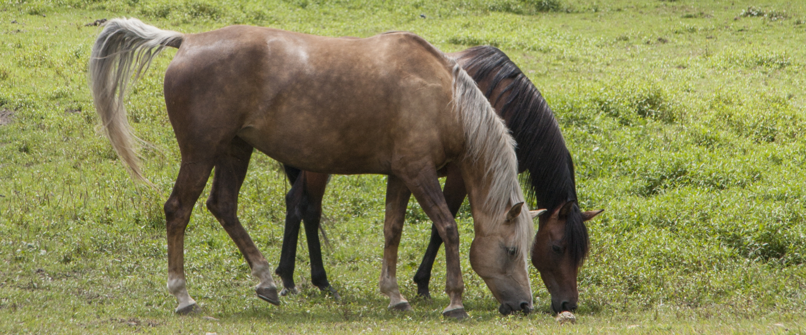 Down on the Farm | CTvisit