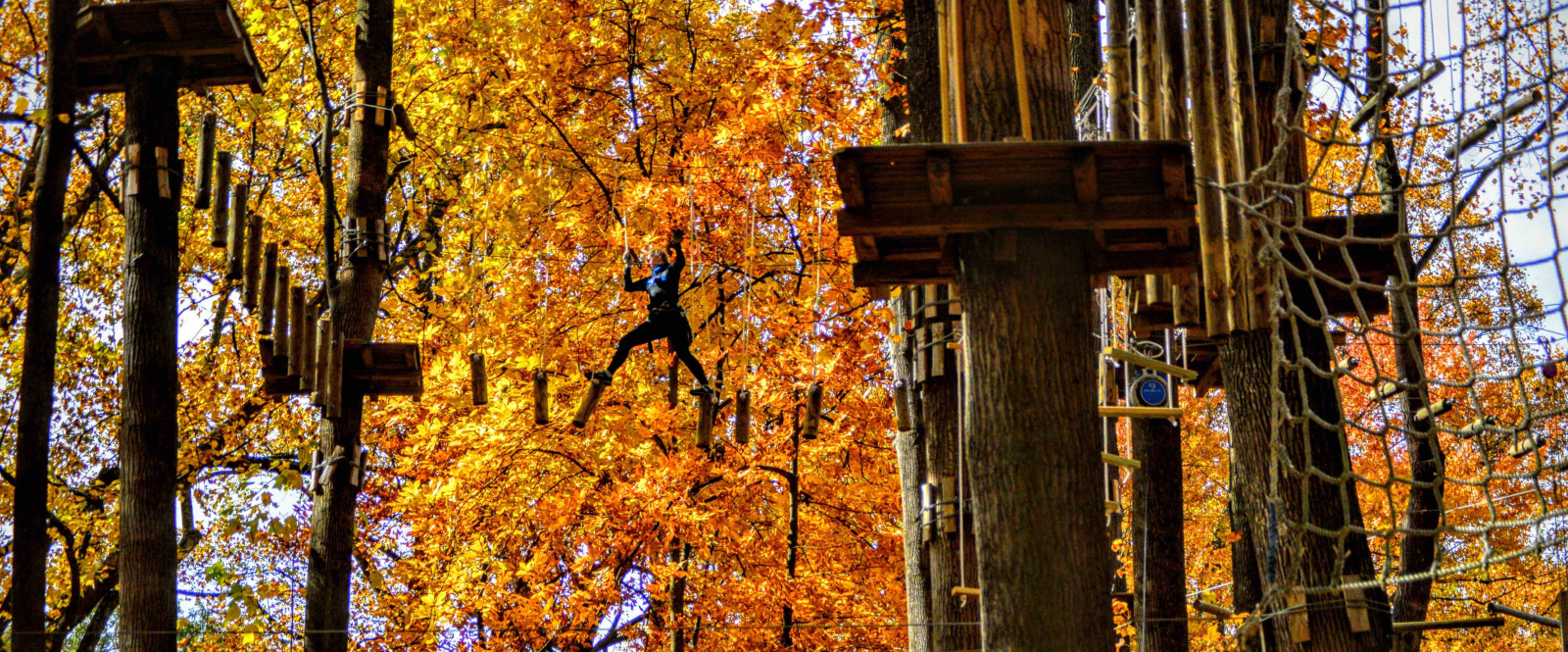 Person crossing elevated wooden obstacle course among autumn trees