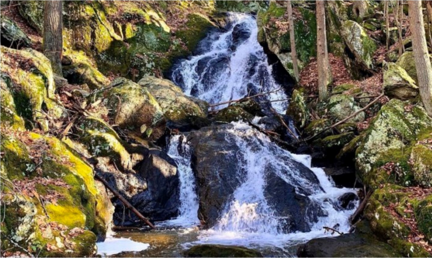 Waterfall cascading over moss-covered rocks in a forested area