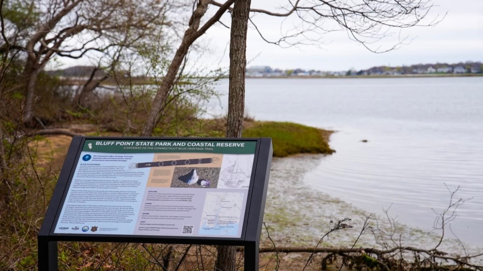 Bluff Point