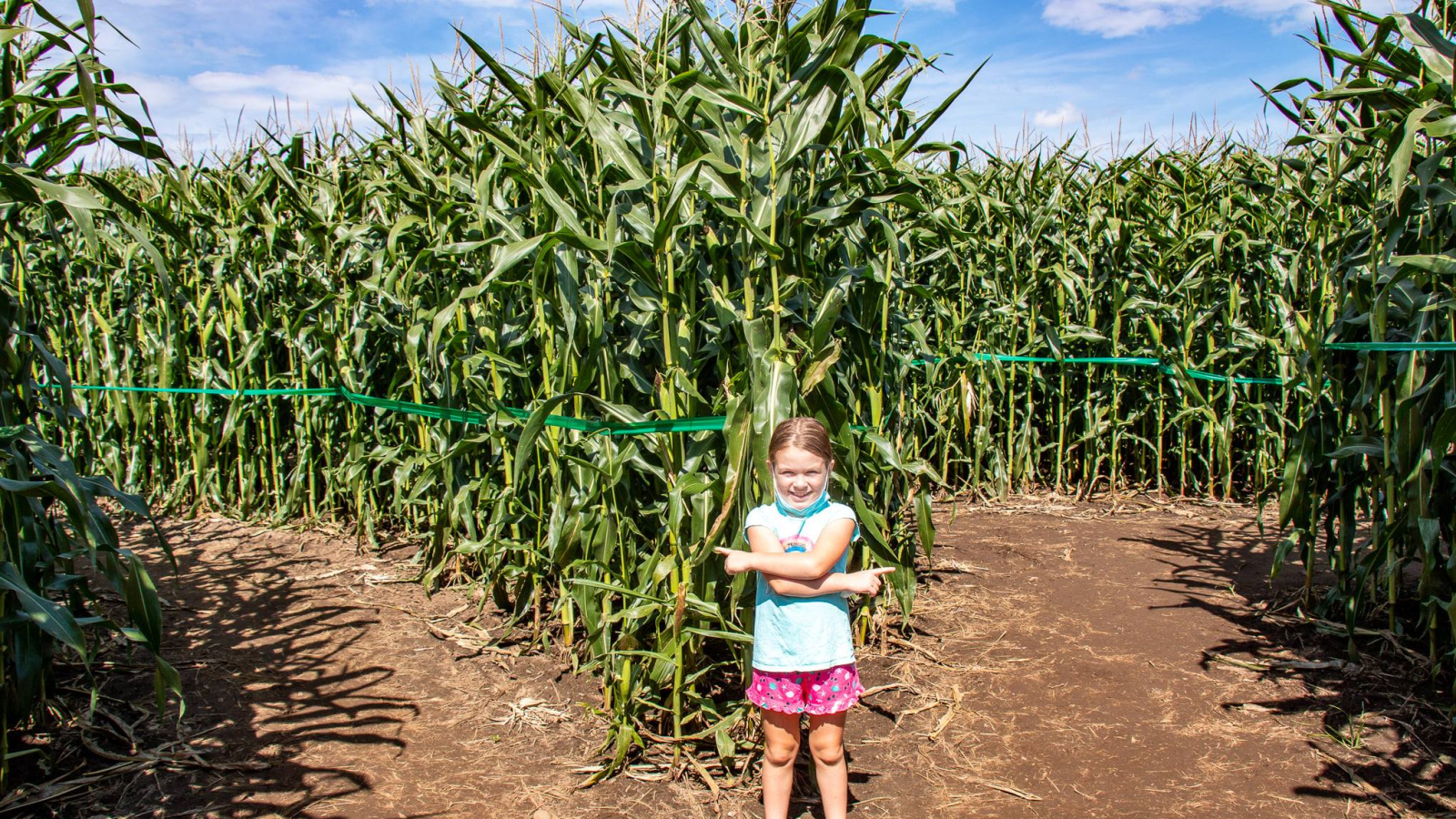 Corn Maze