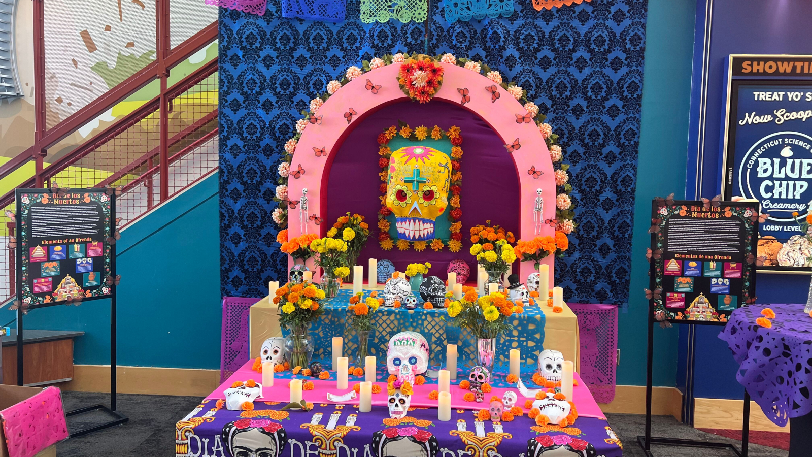 Ofrenda Installation — Arts & culture in Connecticut Science Center