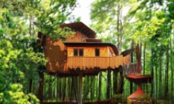 Winvian Tree House 