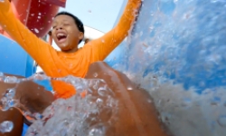 その他 Fun With the Family in Connecticut: Hundreds of Ideas for Day Trips With the Kids (2nd ed) 50 things to do in CT | New England News Collaborative
