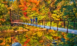 Group hiking over suspended bridge in peak Fall