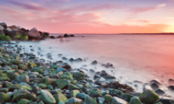 Playa del Golfo, Milford