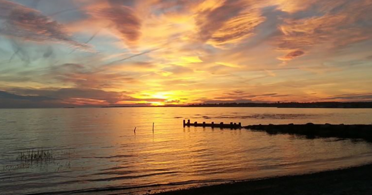 Harvey's Beach CTvisit