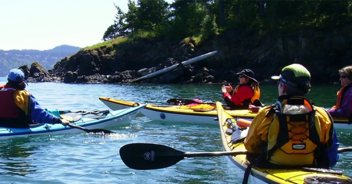 Candlewood Kayak Rental, a subdivision of ViBe Wellness, LLC CTvisit