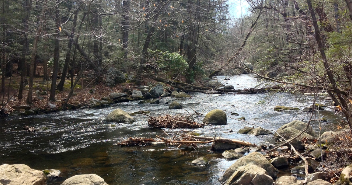 Mianus River State Park | CTvisit