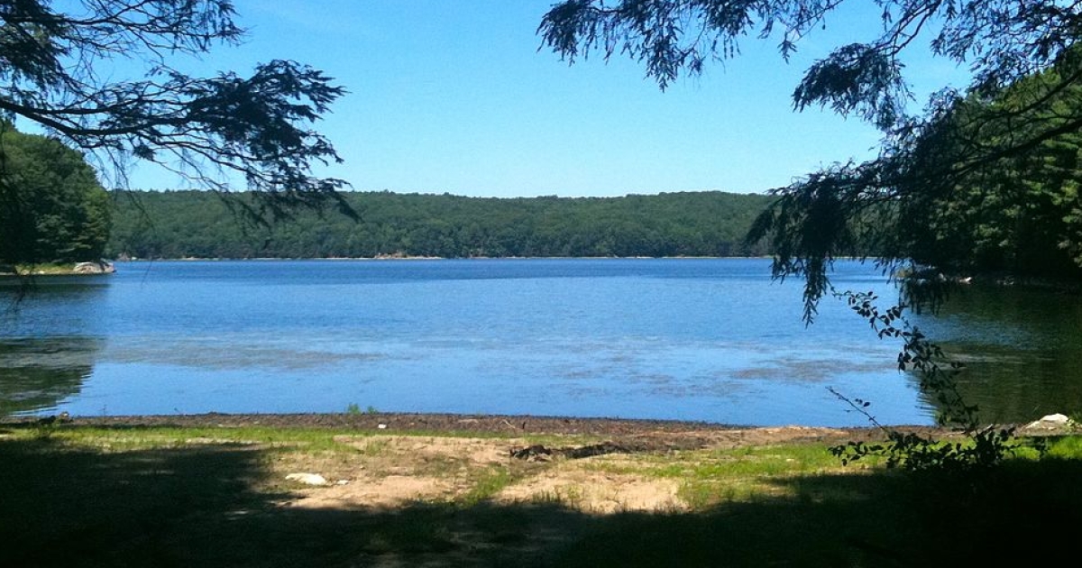 Escape to Serenity: Your Guide to Centennial Watershed State Forest