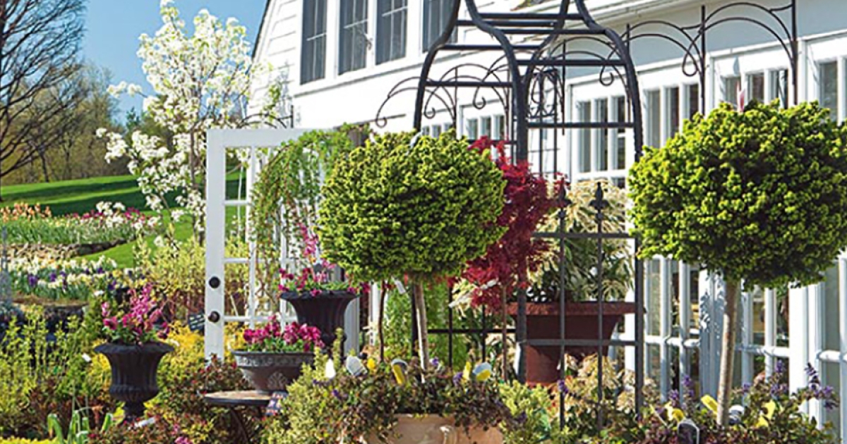 White Flower Farm CTvisit