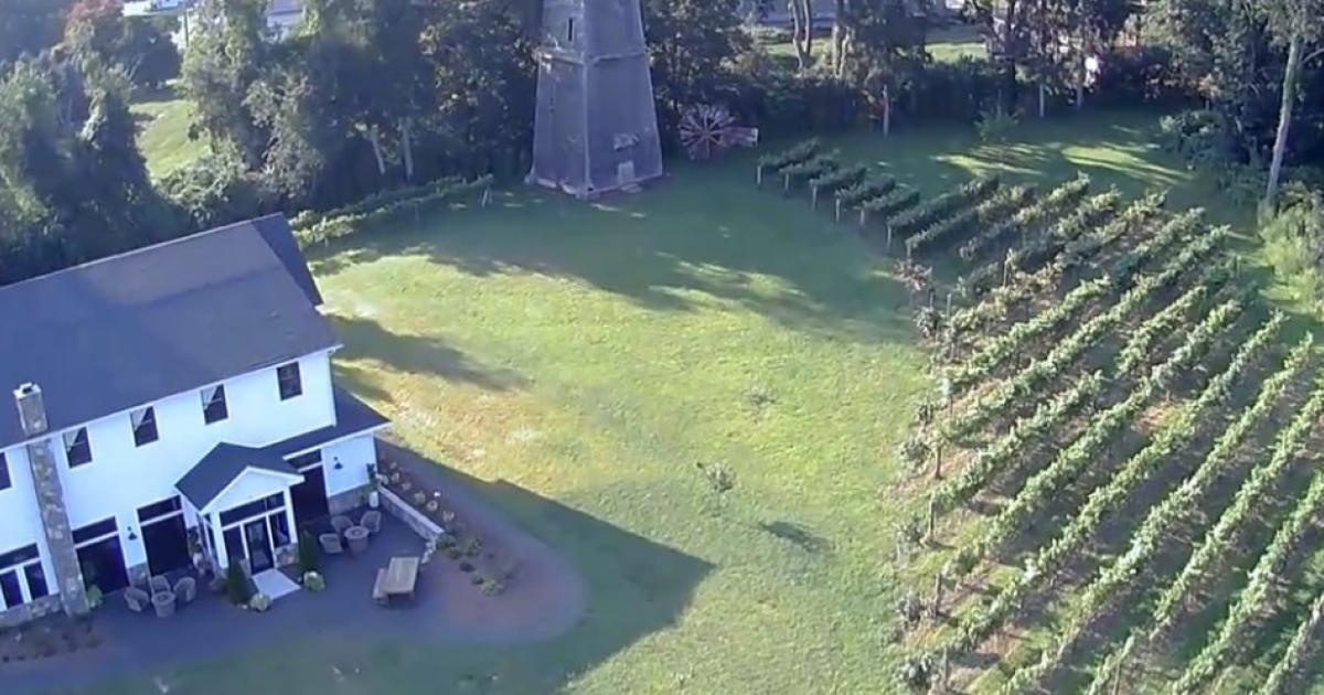 Stappa Vineyard CTvisit