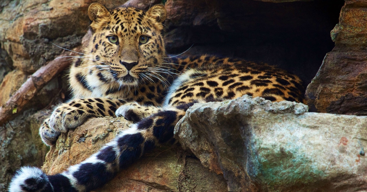 Zoos | CTvisit