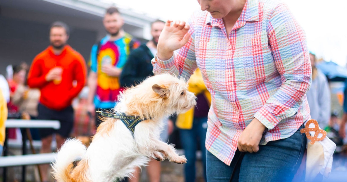 PetFriendly Breweries, Wineries & Distilleries CTvisit