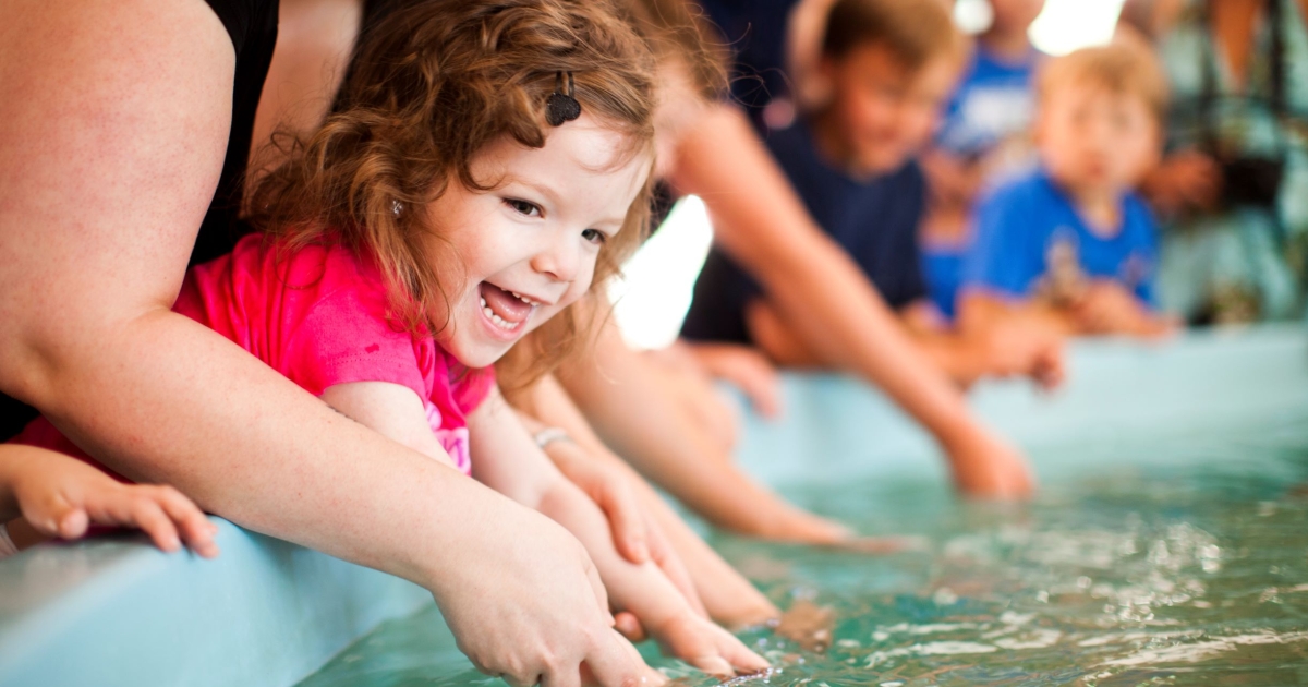 Fun for Kids in Connecticut | CTvisit