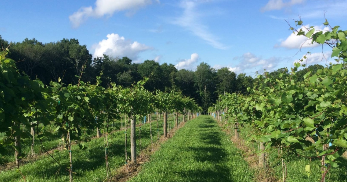 Heartstone Farm & Winery CTvisit