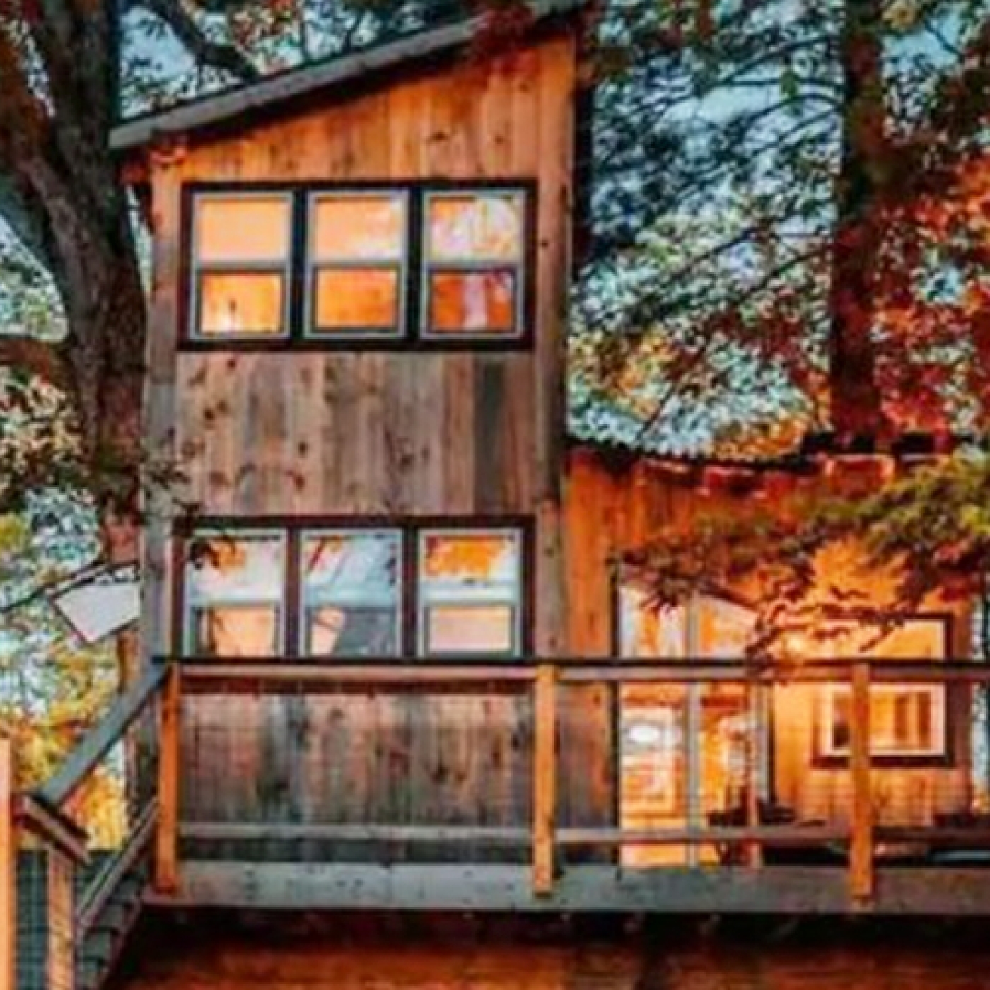 tree house