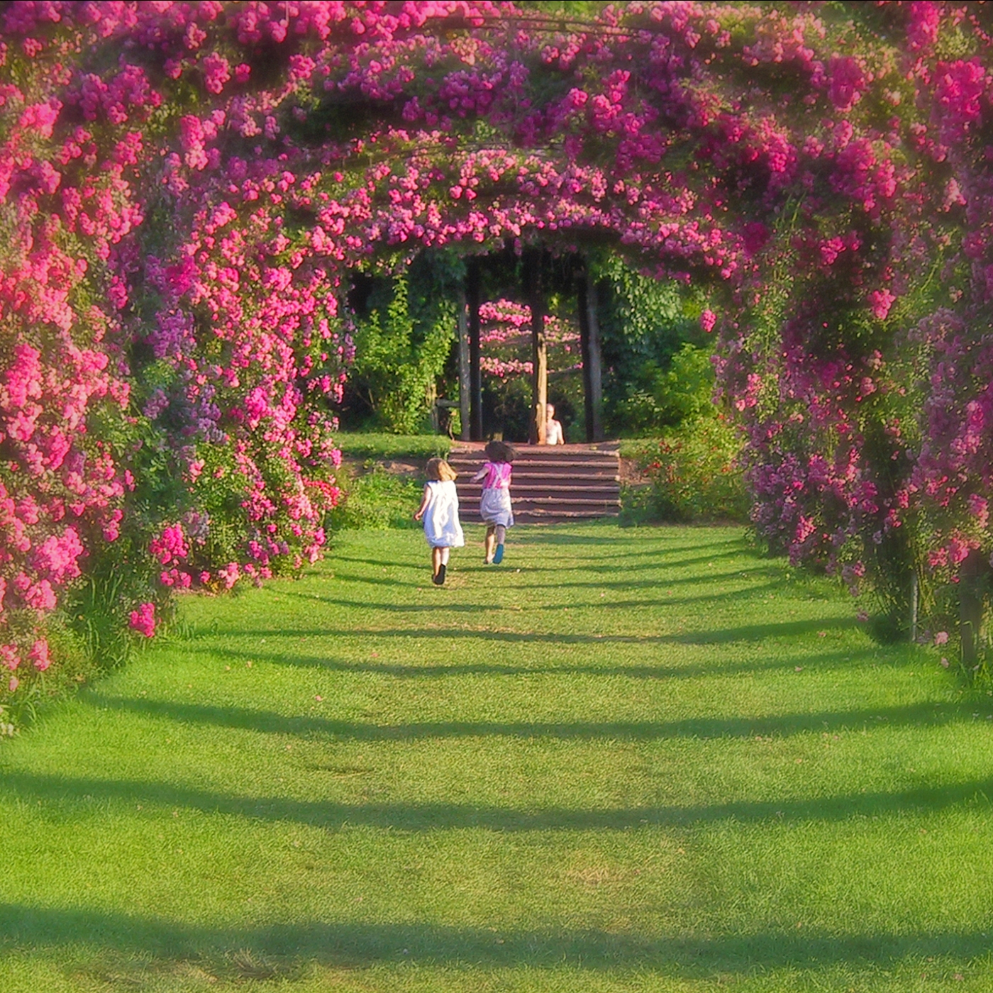 Elizabeth Park Rose Garden