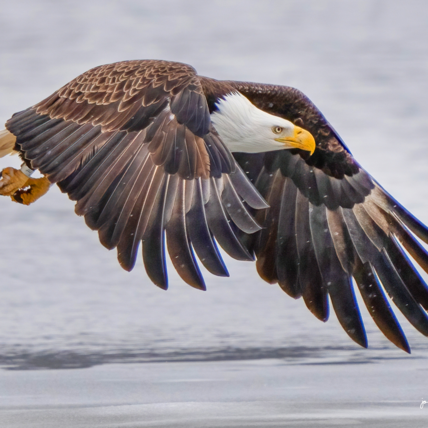 Eagle Landing State Park